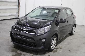 skadebil auto Kia Picanto  2024/4