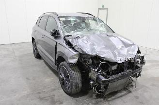 Skoda Karoq  picture 2