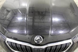 Skoda Kamiq  picture 20