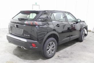 Peugeot 2008  picture 3