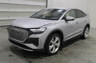 Unfallwagen Audi Q4 e-tron 2024/6