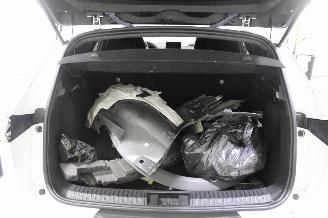 Renault Symbioz  picture 19