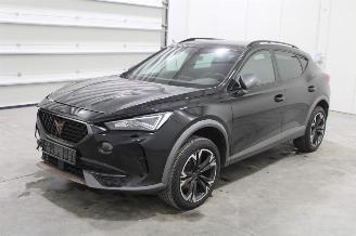 skadebil auto Cupra Formentor  2024/2