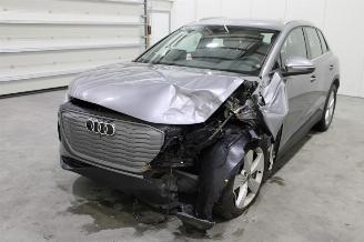 Avarii autoturisme Audi Q4 e-tron 2025/1