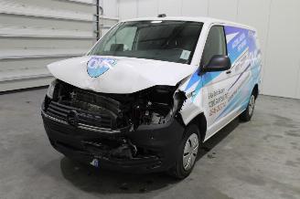 skadebil bedrijf Volkswagen Transporter T6 2024/5