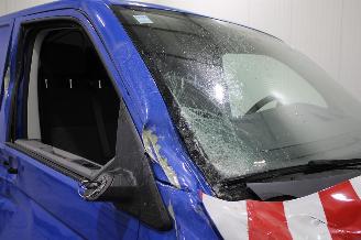 Volkswagen Transporter  picture 7
