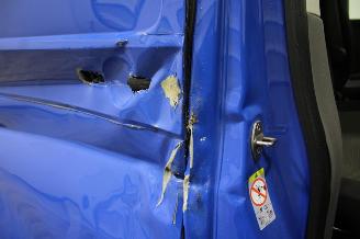 Volkswagen Transporter  picture 21