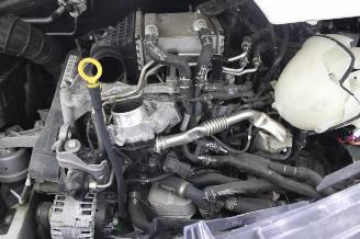 Volkswagen Transporter T6 picture 18