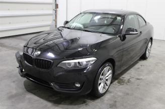 škoda osobní automobily BMW 2-serie 218 2020/1
