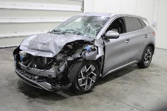 Vaurioauto  passenger cars BYD Atto 3 2024/1