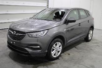 Sloopauto Opel Grandland (X) 2019/12