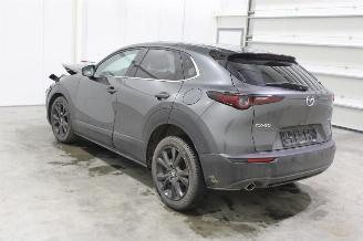 Mazda CX-30  picture 4