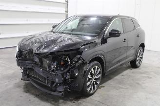Unfallwagen Renault Austral  2025/4
