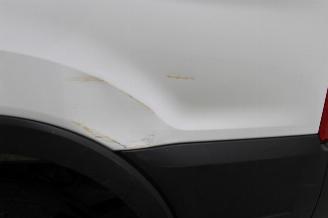 Ford Transit  picture 23