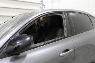 Renault Arkana  picture 10