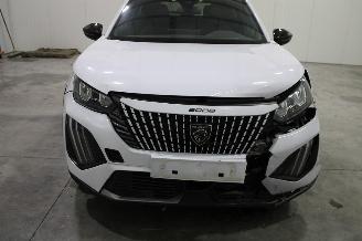 Peugeot 2008  picture 6