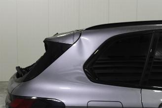 BMW X5  picture 10