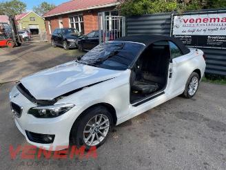 Vrakbiler auto BMW 2-serie  2019/3