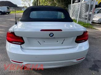 BMW 2-serie  picture 4