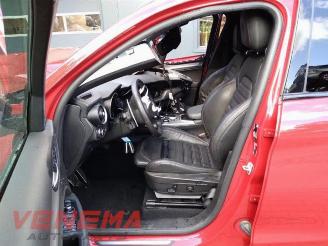Alfa Romeo Stelvio Stelvio (949), SUV, 2017 2.0 T 16V Q4 picture 9