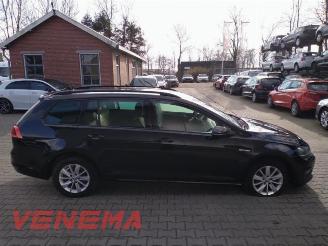 Volkswagen Golf Golf VII Variant (AUVV), Combi, 2013 / 2021 1.4 TGI 16V picture 4