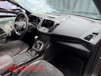 Ford Kuga Kuga II (DM2), SUV, 2012 1.5 EcoBoost 16V 150 picture 16
