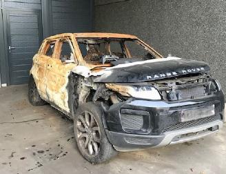 Démontage voiture Land Rover Range Rover Evoque (LVJ/LVS) SUV 2011 2.0 D 150 16V 5-drs. SUV 4Dr Diesel 1.999cc 110kW  2015-06 2018/1