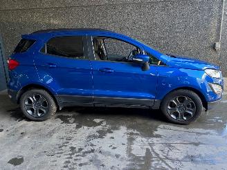 Ford EcoSport EcoSport (JK8) SUV 1.0 EcoBoost 12V 125 SUV  Benzine 998cc 92kW picture 2