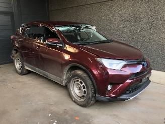 Vrakbiler auto Toyota Rav-4 (A4) Terreinwagen 2012 / 2019 2.5 Hybrid 16V VVT-i 4x4 Jeep/SUV  Elektrisch Benzine 2,494cc 114kW 2016/4