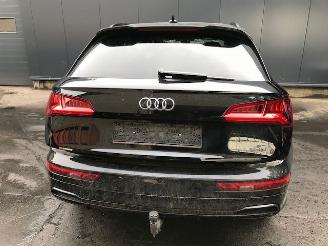 Audi Q5 (FYX) SUV 2019 2.0 40 TDI 16V Quattro SUV  Diesel 1.968cc 140kW (190pk) 4x4 picture 8