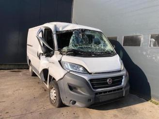 Sloopauto Fiat Ducato  2017/4