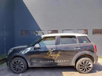 Mini Countryman  picture 15