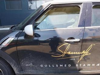 Mini Countryman  picture 17