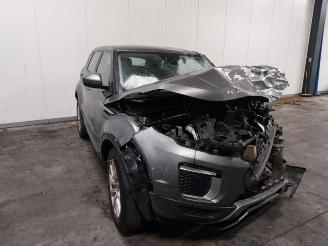  Land Rover Range Rover Evoque Range Rover Evoque (LVJ/LVS), SUV, 2011 / 2019 2.0 D 150 16V 2016/8