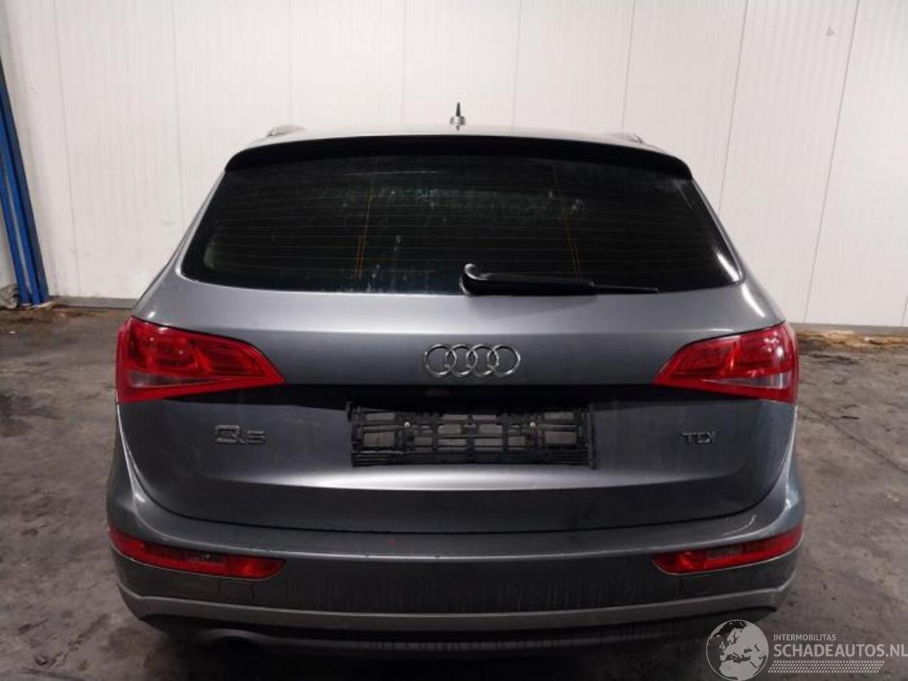 Audi Q5 Q5 (8RB), SUV, 2008 / 2017 2.0 TDI 16V