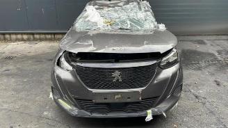  Peugeot 2008 2008 (UD/UK/UR/US/UX), MPV, 2019 1.5 BlueHDi 110 2022/1