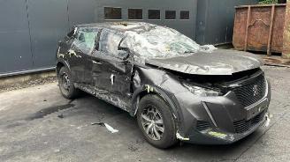 Peugeot 2008 2008 (UD/UK/UR/US/UX), MPV, 2019 1.5 BlueHDi 110 picture 3