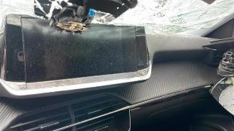 Peugeot 2008 2008 (UD/UK/UR/US/UX), MPV, 2019 1.5 BlueHDi 110 picture 13