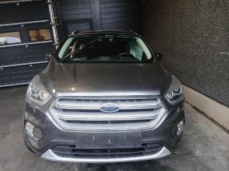 Ford Kuga Kuga II (DM2), SUV, 2012 1.5 EcoBoost 16V 120 picture 2