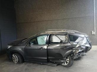 Ford Kuga Kuga II (DM2), SUV, 2012 1.5 EcoBoost 16V 120 picture 3