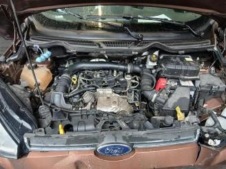 Ford EcoSport EcoSport (JK8), SUV, 2013 1.0 EcoBoost 12V 125 picture 24