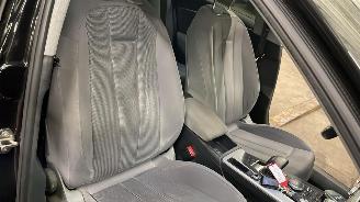 Audi A4 allroad  picture 21