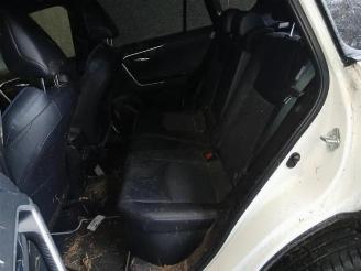 Toyota Rav-4 RAV4 (A5), Terreinwagen, 2018 2.5 Hybrid 16V picture 18