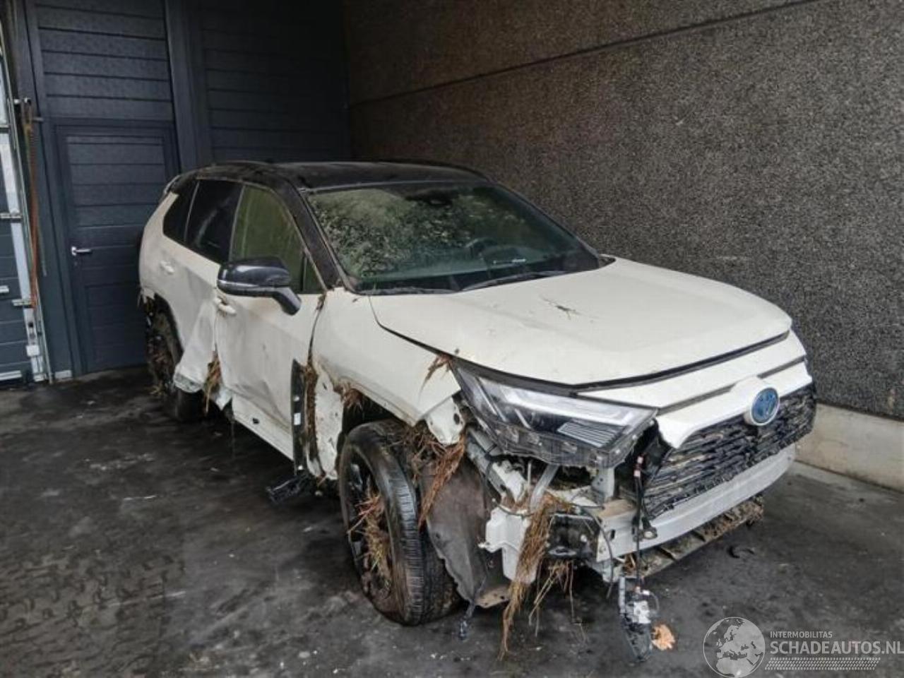 Toyota Rav-4 RAV4 (A5), Terreinwagen, 2018 2.5 Hybrid 16V