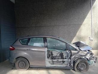 Ford C-Max C-Max (DXA), MPV, 2010 / 2019 2.0 TDCi 16V 115 picture 15