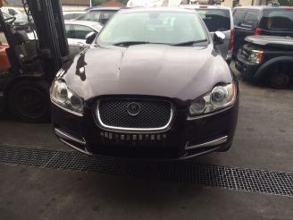 Salvage car Jaguar XF  2010/1
