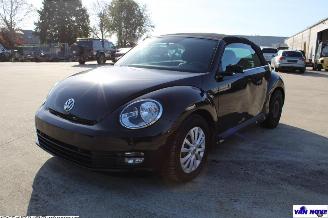 Volkswagen Beetle 5C picture 2