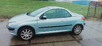Schadeauto Peugeot 206  2002/4