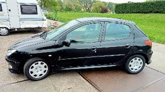 Peugeot 206  picture 2