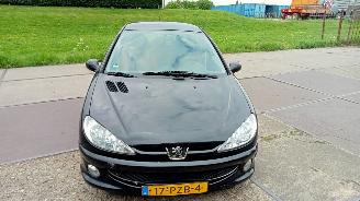 Schadeauto Peugeot 206  2006/11